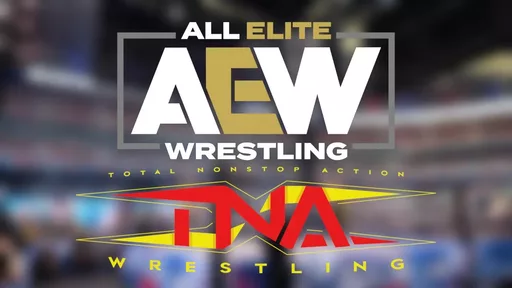 Jeff Jarrett Explains The Similarity He Sees Between AEW And TNA